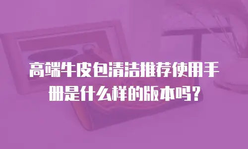 高端牛皮包清洁推荐使用手册是什么样的版本吗？