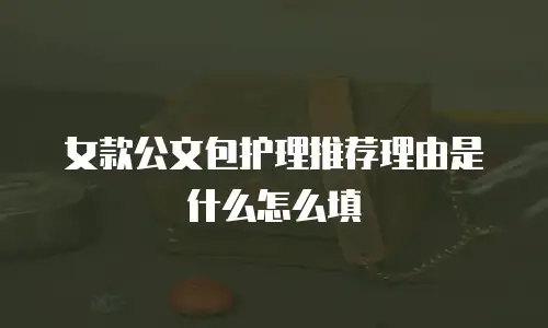 女款公文包护理推荐理由是什么怎么填