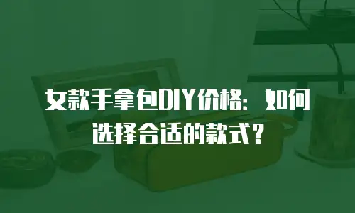 女款手拿包DIY价格：如何选择合适的款式？