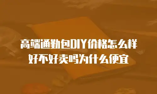 高端通勤包DIY价格怎么样好不好卖吗为什么便宜