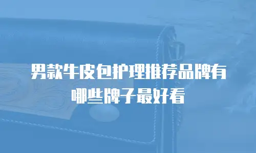 男款牛皮包护理推荐品牌有哪些牌子最好看
