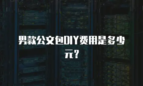 男款公文包DIY费用是多少元？