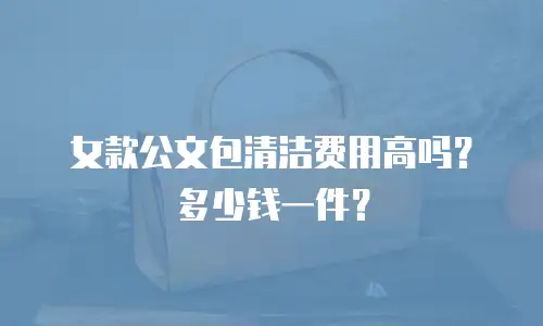女款公文包清洁费用高吗？多少钱一件？