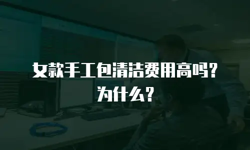 女款手工包清洁费用高吗？为什么？