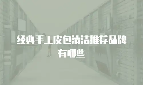 经典手工皮包清洁推荐品牌有哪些