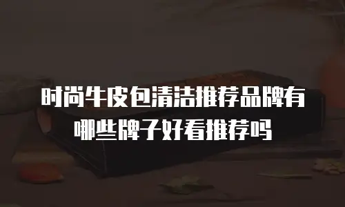 时尚牛皮包清洁推荐品牌有哪些牌子好看推荐吗