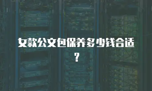 女款公文包保养多少钱合适？