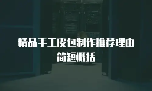 精品手工皮包制作推荐理由简短概括