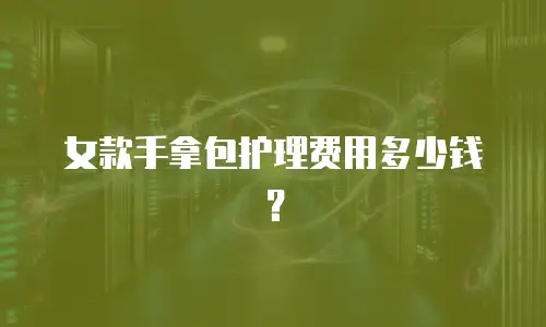女款手拿包护理费用多少钱？