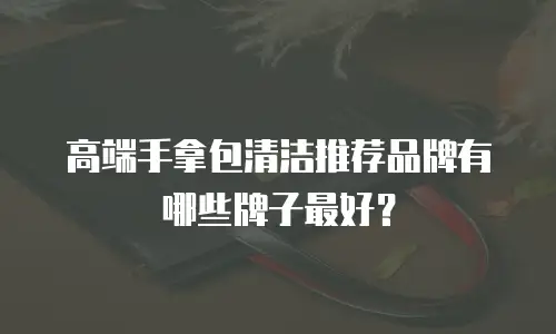 高端手拿包清洁推荐品牌有哪些牌子最好？