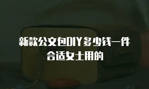 新款公文包DIY多少钱一件合适女士用的