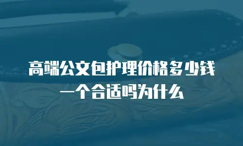 高端公文包护理价格多少钱一个合适吗为什么