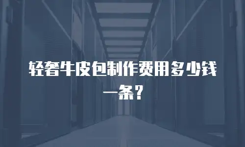 轻奢牛皮包制作费用多少钱一条？