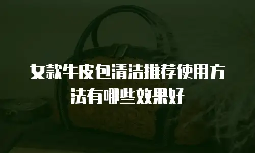 女款牛皮包清洁推荐使用方法有哪些效果好