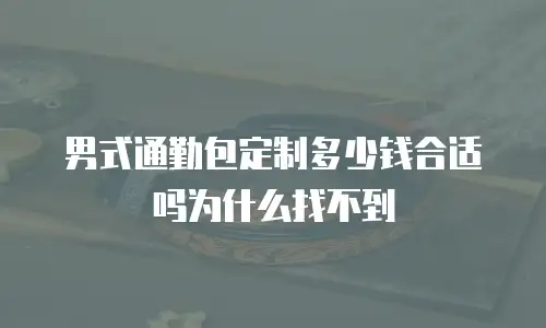 男式通勤包定制多少钱合适吗为什么找不到