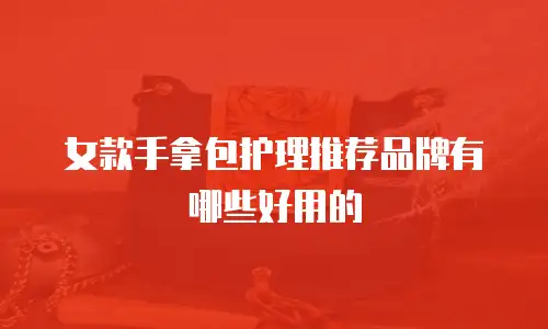 女款手拿包护理推荐品牌有哪些好用的