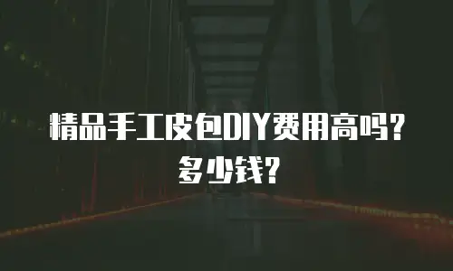 精品手工皮包DIY费用高吗？多少钱？