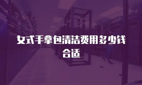 女式手拿包清洁费用多少钱合适