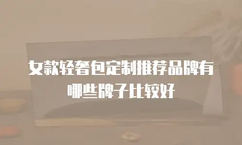 女款轻奢包定制推荐品牌有哪些牌子比较好