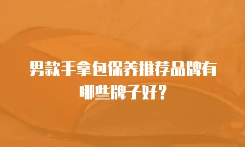 男款手拿包保养推荐品牌有哪些牌子好？
