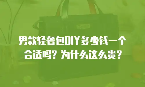 男款轻奢包DIY多少钱一个合适吗？为什么这么贵？