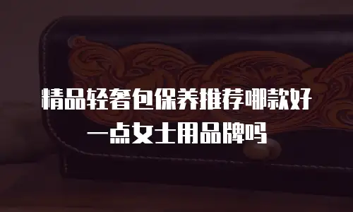 精品轻奢包保养推荐哪款好一点女士用品牌吗