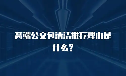 高端公文包清洁推荐理由是什么？