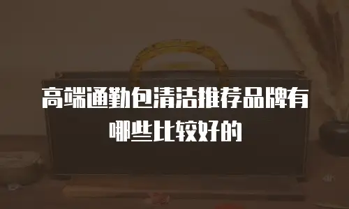 高端通勤包清洁推荐品牌有哪些比较好的