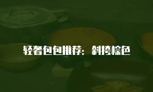 轻奢包包推荐：斜挎棕色