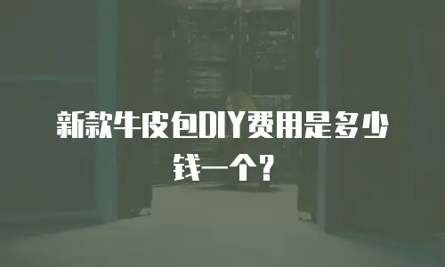 新款牛皮包DIY费用是多少钱一个？
