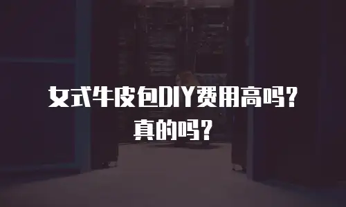 女式牛皮包DIY费用高吗？真的吗？