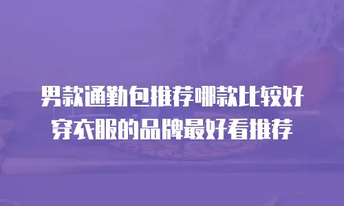 男款通勤包推荐哪款比较好穿衣服的品牌最好看推荐