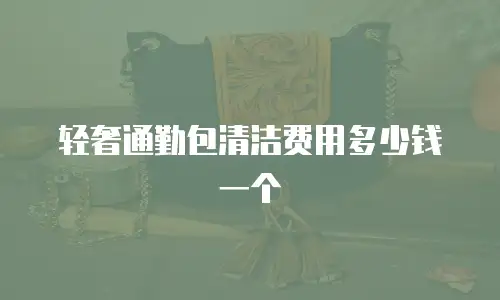 轻奢通勤包清洁费用多少钱一个