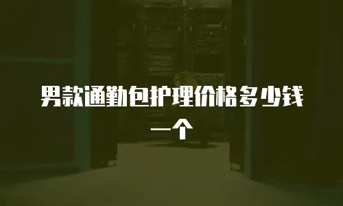 男款通勤包护理价格多少钱一个