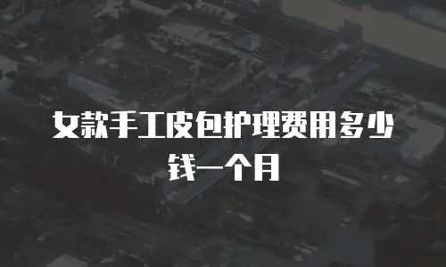 女款手工皮包护理费用多少钱一个月