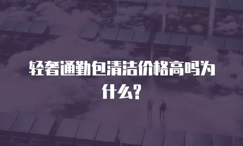 轻奢通勤包清洁价格高吗为什么?