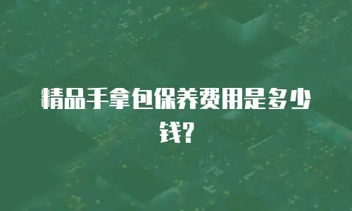 精品手拿包保养费用是多少钱？