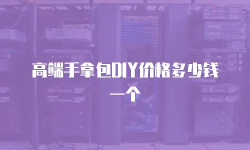 高端手拿包DIY价格多少钱一个