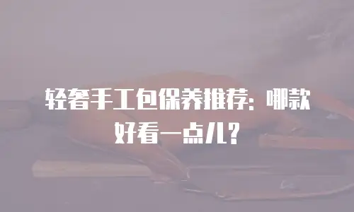 轻奢手工包保养推荐: 哪款好看一点儿?