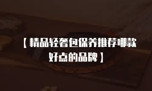 【精品轻奢包保养推荐哪款好点的品牌】