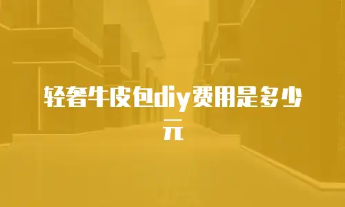 轻奢牛皮包diy费用是多少元