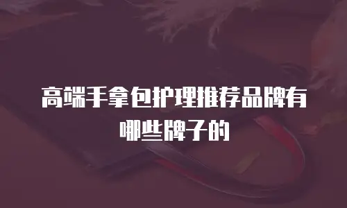 高端手拿包护理推荐品牌有哪些牌子的