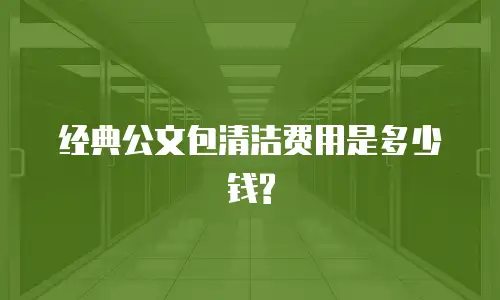经典公文包清洁费用是多少钱?