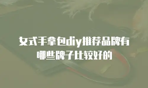 女式手拿包diy推荐品牌有哪些牌子比较好的