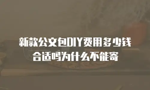 新款公文包DIY费用多少钱合适吗为什么不能寄