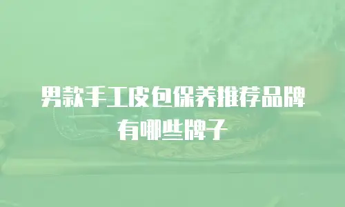 男款手工皮包保养推荐品牌有哪些牌子