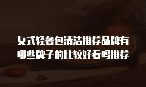 女式轻奢包清洁推荐品牌有哪些牌子的比较好看吗推荐