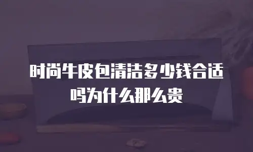 时尚牛皮包清洁多少钱合适吗为什么那么贵