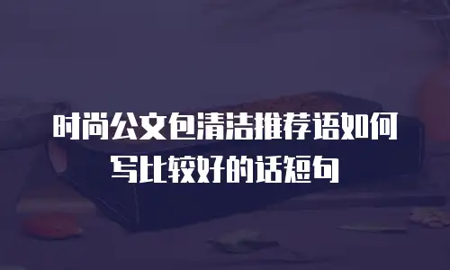 时尚公文包清洁推荐语如何写比较好的话短句