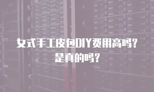 女式手工皮包DIY费用高吗？是真的吗？